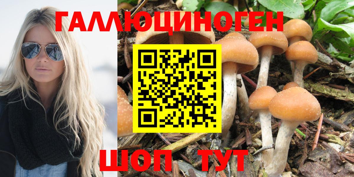 Псилоцибиновые грибы Cubensis  Вход с VPN  как найти закладки  Торжок 