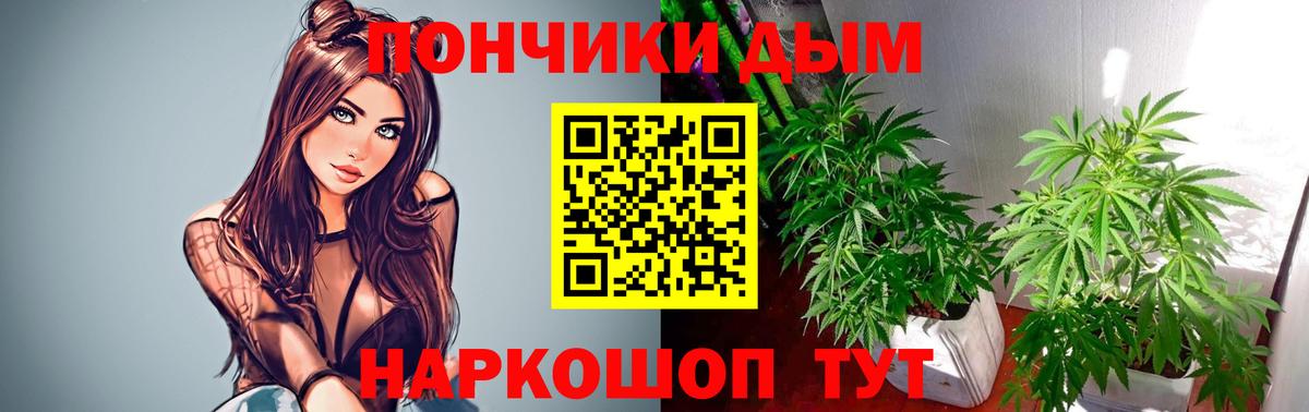 Конопля конопля Торжок