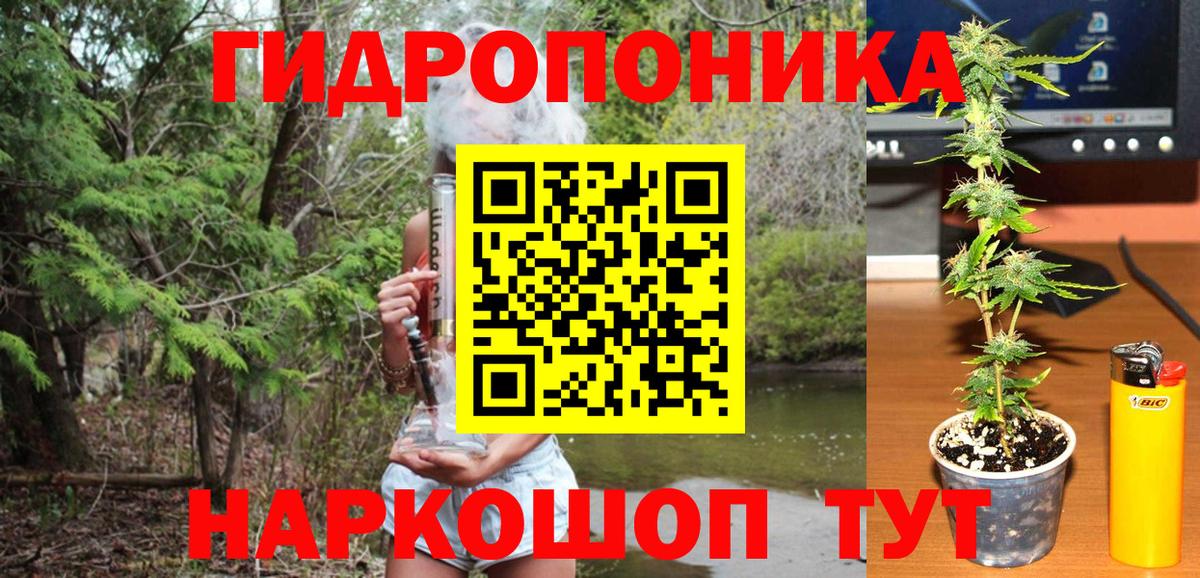 Шишки марихуана VHQ  Вход с VPN  МАРИХУАНА VHQ  Торжок  Конопля планчик 
